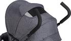 FreeON прогулянковf коляска Simple Black Grey 48532vsg