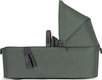 Forest green 320051
