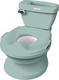 Ingenuity горшок - детский унитаз My Size Potty Pro Зеленый 11124.04