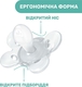Chicco пустышка Physio Comfort силиконовая от 6 до 16 месяцев 2 шт. мальчик 74933.21.00.00