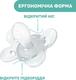 Chicco пустышка Physio Comfort силиконовая от 6 до 16 месяцев 2 шт. мальчик 74933.21.00.00