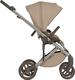 Anex универсальная коляска 2 в 1 Eli Gato el-11
