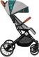 MoMi прогулянкова коляска ESTELLE gray WOSP00001