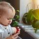 Chicco гель для купання Baby Moments "Без сліз" з екстрактом бавовни та гліцерином 500 мл 10583.00