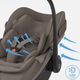 Maxi-Cosi автокрісло Pebble Slide Pro Oak Truffle 8442099110