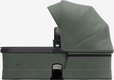 Forest green 900302