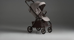 Anex прогулянкова коляска Ride Chrome RD-01