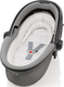 Britax-Romer автокресло Baby-Safe Sleeper Black Thunder 2000008082